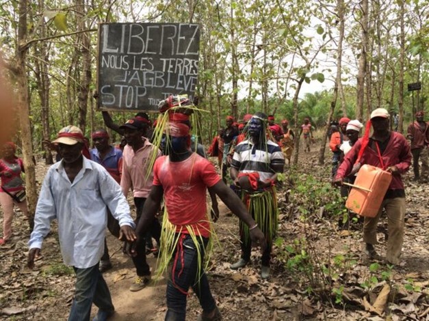 Zio 3 : Litige foncier à Agblévé/ Avedjé : Injustement accusé d’être l’auteur d’un soulèvement, le sieur Kodjo Djagli sort de son silence et donne sa version des faits