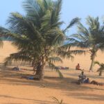Déguerpissement des plages au Togo : le gouvernement lance une opération générale