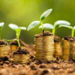 Microfinance au Togo : pourquoi la nouvelle loi pourrait transformer le secteur financier