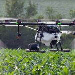 Afrique : quelle agriculture pour l’ère de la technologie ?