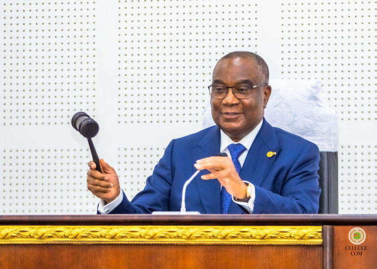 Au Togo, l’Assemblée nationale face aux nouveaux équilibres institutionnels
