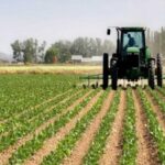 Agriculture au Togo : les angles morts de la modernisation