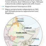 Éthiopie : La chute du TPLF et le spectre d&rsquo;une recomposition régionale