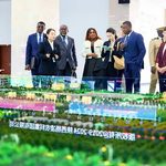 Coopération agricole Togo-Chine : Le mirage des grands projets ?