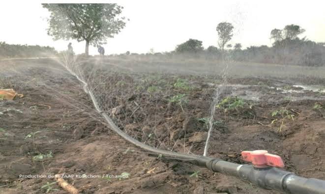 Togo : une bonne loi ne nourrit pas encore les Togolais